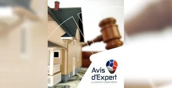 réalisation Hadex (7)